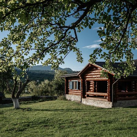 Casa Din Busteni, Maramures Hoteni Exterior photo