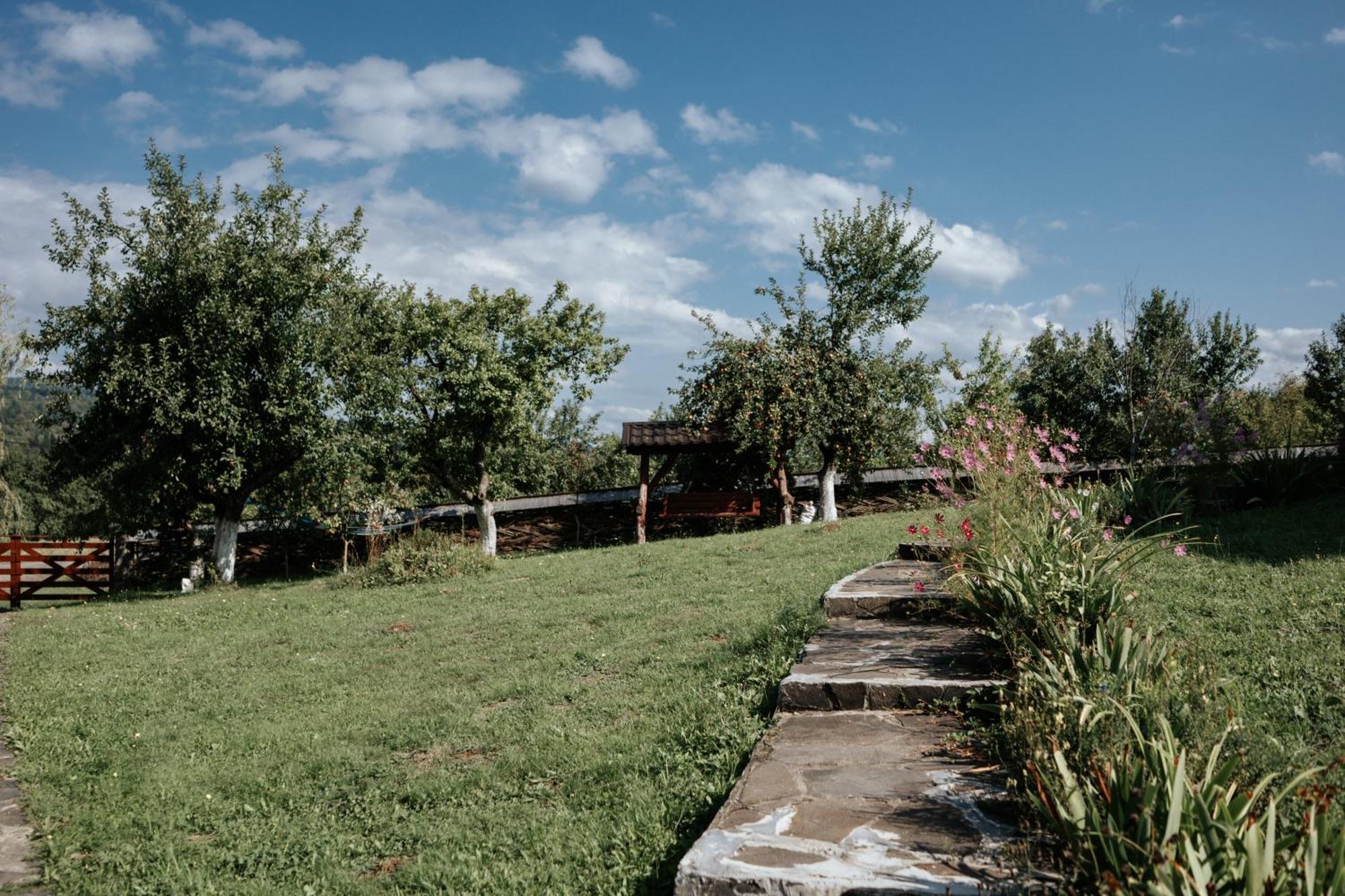 Casa Din Busteni, Maramures Hoteni Exterior photo