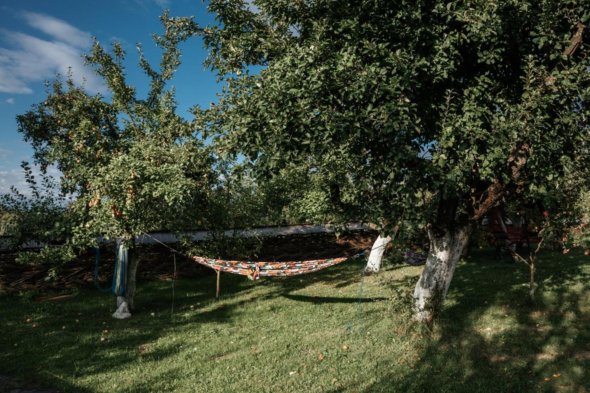 Casa Din Busteni, Maramures Hoteni Exterior photo